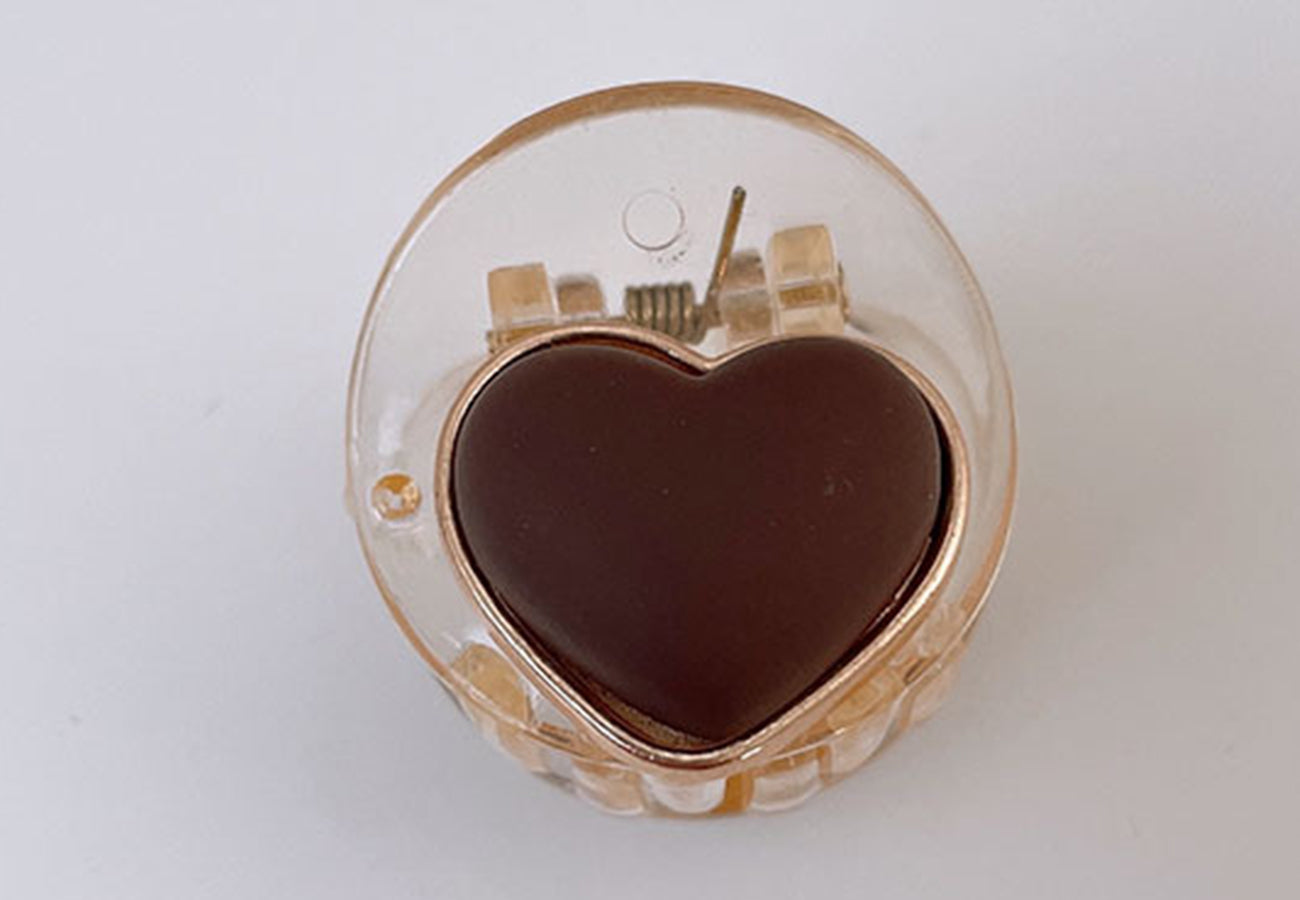 Gold Outline Transparent Hair Clip